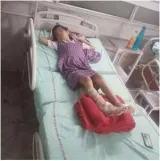 Stray dog attacks girl  father blames mcd  agency denies charge