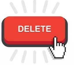 Expunge - Obliterate or remove completely (something unwanted or unpleasant).