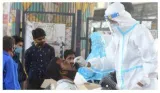 India reports 51 new covid cases in 24 hours