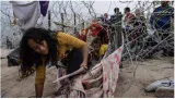Migrants cross into texas  undeterred by razor wire or new asylum rules