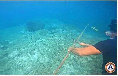 Philippines removes china’s barrier in disputed shoal