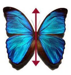 Bilateral - Having or relating to two sides; affecting both sides.
