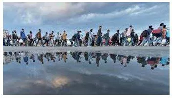Migrant meaning