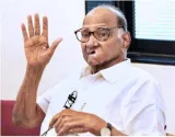 Seat sharing differences may arise  india will find a way out  sharad pawar