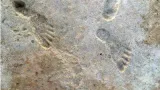 Further evidence points to footprints in new mexico being the oldest sign of humans in americas