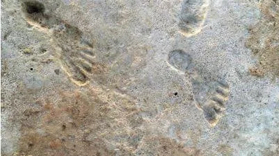 Further evidence points to footprints in new mexico being the oldest sign of humans in americas
