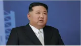 North korea blames israel for causing bloodshed in gaza