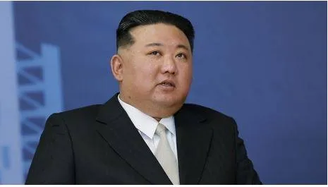 North korea blames israel for causing bloodshed in gaza