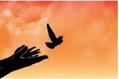 Liberation meaning