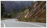 Kerala mulls planting bamboo along munnar’s gap road to avert landslips