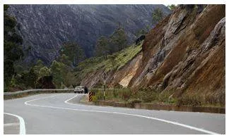 Kerala mulls planting bamboo along munnar’s gap road to avert landslips