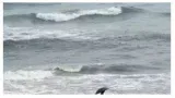 Deep depression over bay of bengal may turn into cyclone by monday evening  imd