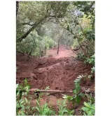 Idukki landslip washes away agricultural land