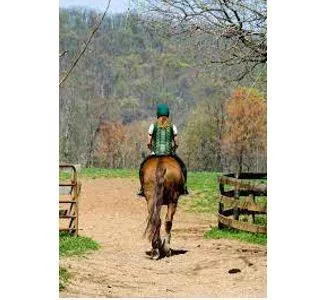 Mounting - Riding an animal, typically a horse, especially for military or other duty.