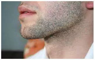 Stubble meaning
