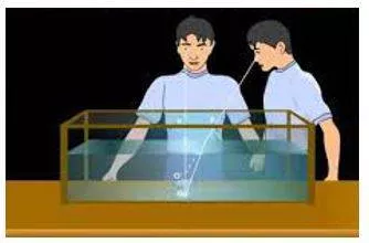 Apparent - Clearly visible or understood.