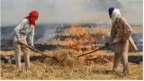 Punjab records over 1 700 farm fires  'very poor' aqi in parts of haryana