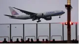 Plane forced to make emergency return to new york after horse on board breaks free