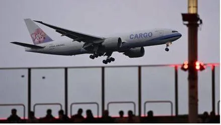 Plane forced to make emergency return to new york after horse on board breaks free