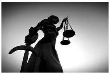 Judicial meaning