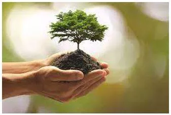 Prosperous meaning