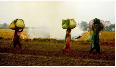 Manohar lal takes dig at punjab govt over farm fires  aap minister rebuts