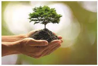 Prosperous meaning