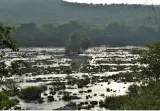 Release 3 216 cusecs cauvery water for 38 days to t n   panel