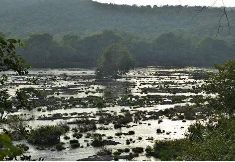 Release 3 216 cusecs cauvery water for 38 days to t n   panel
