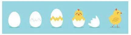 Hatched meaning