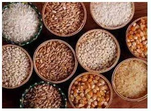 Provision - The action of providing or supplying something for use.