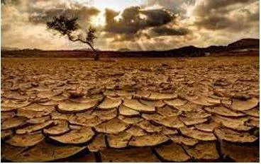 Famine - A lack of food over a long period of time in a large area that can cause the death of many people.