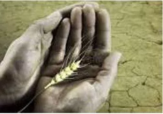 Starvation - Suffering or death caused by lack of food.