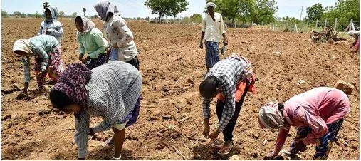 Political blame game in telangana after ec order on govt  scheme