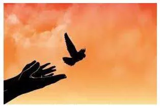 Liberate - Freed from or opposed to traditional social and sexual attitudes or roles.
