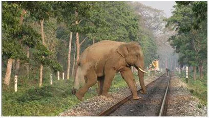 Ai based detection system expected to be installed along bengal railway tracks