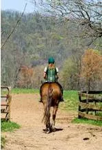 Mounted meaning