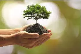 Prosperity meaning