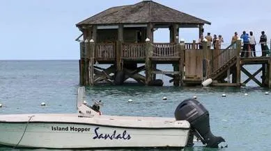 Boston woman mauled to death by shark while paddleboarding in bahamas a day after her wedding