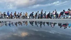 Migrant meaning