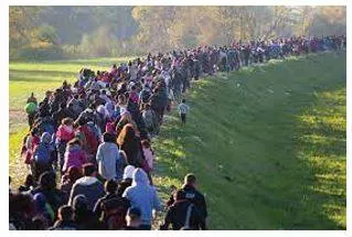 Migration - Movement from one part of something to another.