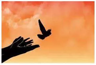 Liberation - Freed from or opposed to traditional social and sexual attitudes or roles.