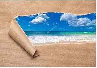Reveal - Make (previously unknown or secret information) known to others.