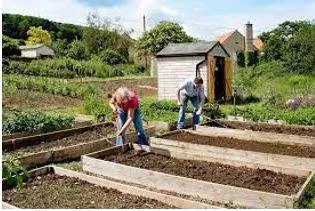 Allotted meaning