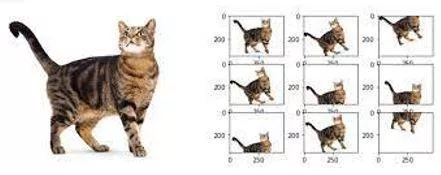 Augmentation meaning