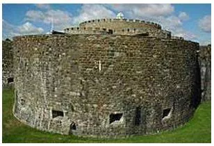 Bastion - A projecting part of a fortification built at an angle to the line of a wall, so as to allow defensive fire in several directions.