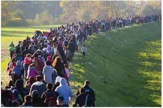 Migrated meaning
