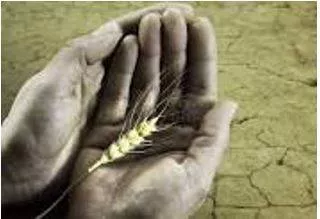 Starving - Suffering or death caused by lack of food.