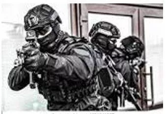 Raided - A rapid surprise attack on an enemy by troops, aircraft, or other armed forces.