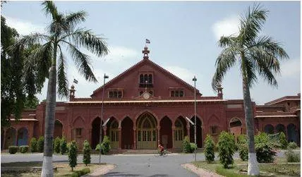Majority community staff on the rolls will not dilute minority status of amu  sc